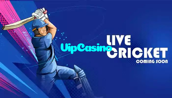 available types of VipCasino bet including pre-match live express and system bets
